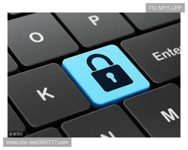 如何便捷访问365真正官网确保信息安全与隐私保护