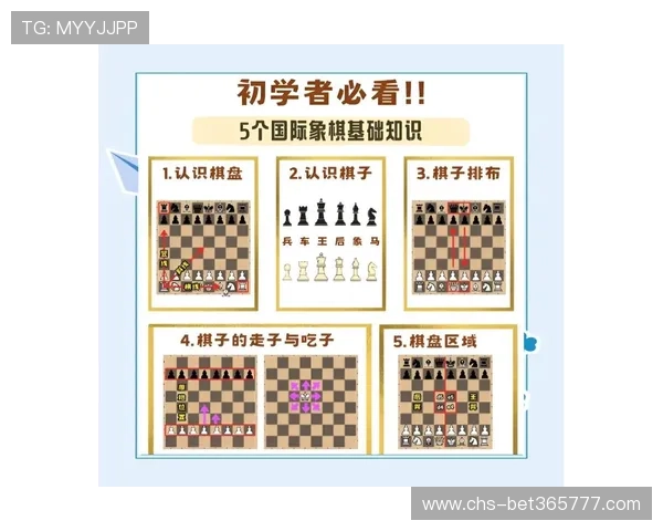 B体育真人国际新手入门指南：从注册到游戏技巧全方位帮助玩家快速上手