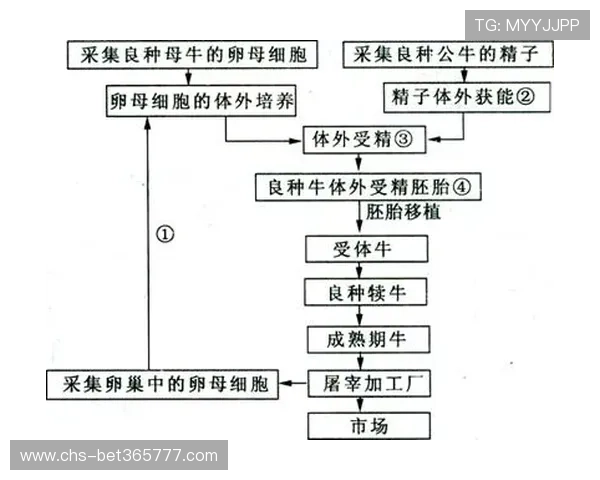 优德体育账号注册流程详细指南及常见问题解决方案全方位解析 优德体育账号注册流程详细指南及常见问题解决方案全方位解析